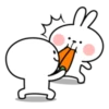 Spoiled Rabbit Smile Person Carrot 7