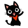 The GaMERCaT 6