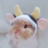 Bunnies 5