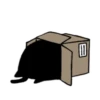 Kedama cat 10