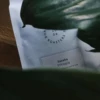 Black Coffee Co 15