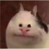 Random Shit #1 8