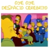 Simpsons 15