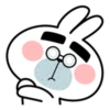 Spoiled Rabbit Face 11