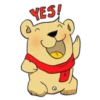 Bear 11
