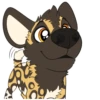African Wild Dogs 7