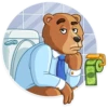 Bull & Bear 11