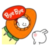 Spoiled Rabbit Smile Person Carrot 11