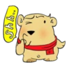 Bear 14