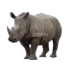 ANIMALS EMOJI 13
