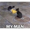 Random Shit #1 10
