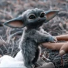 grogu 14