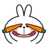 Spoiled Rabbit Face 12
