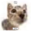 Random Shit #1 12
