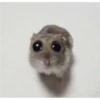 Random Shit #1 15