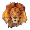 ANIMALS EMOJI 15