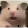 Random Shit #1 16
