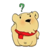 Bear 17