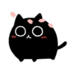 Kedama cat 14