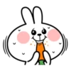Spoiled Rabbit Face 13