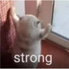 Random Shit #1 17