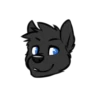 Blackdog 10