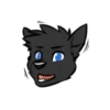 Blackdog 11