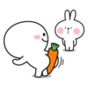 Spoiled Rabbit Smile Person Carrot 14