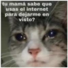 Michis 5 17