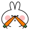 Spoiled Rabbit Face 22