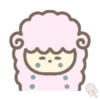 Cute sheep 20