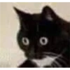Random Shit #1 20