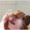 Random Shit #1 21