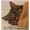 Michis 5 21