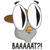 SuspiciousSova 17