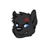 Blackdog 15
