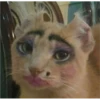 Random Shit #1 22