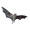 ANIMALS EMOJI 24