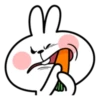 Spoiled Rabbit Face 25