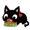 The GaMERCaT 13