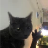 Random Shit #1 25
