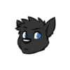 Blackdog 16