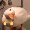 Random Shit #1 26