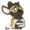 African Wild Dogs 11