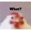 Random Shit #1 27