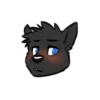 Blackdog 17