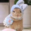 Bunnies 28