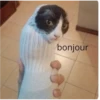 Random Shit #1 28