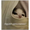 Michis 5 26