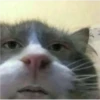 Random Shit #1 29